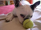 DSCN0011 DSCN0011