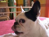 DSCN0013 DSCN0013