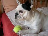 DSCN0016 DSCN0016