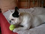 DSCN0017 DSCN0017