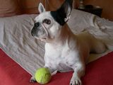DSCN0020 DSCN0020
