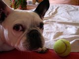 DSCN0022 DSCN0022