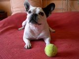 DSCN0031 DSCN0031