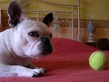 DSCN0033 DSCN0033