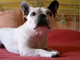 DSCN0034 DSCN0034