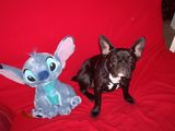 Stitch (2) Stitch (2)