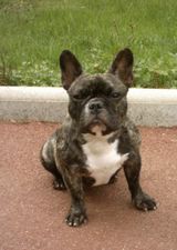 Un problème? Un problème?