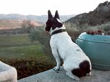 velours_en_luberon_007 velours_en_luberon_007