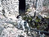 velours_les_bories_002 velours_les_bories_002