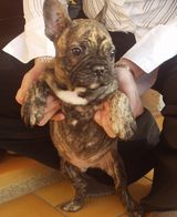 Première sortie de Virus Première sortie de Virus