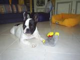 Vovo et son doudou