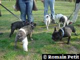 Bouledofolies au Parc de Sceaux le 30/03/2003 Bouledofolies au Parc de Sceaux le 30/03/2003