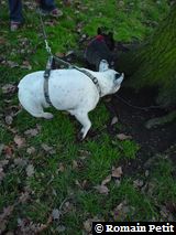 230120051617d 230120051617d