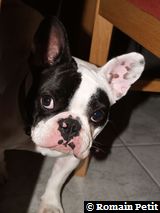 020320081609b 020320081609b