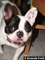 020320081609c 020320081609c