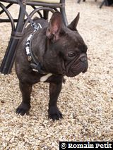 170220071529a 170220071529a