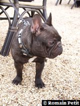 170220071529b 170220071529b