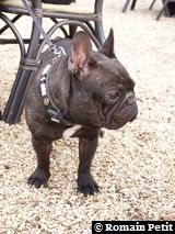 170220071529c 170220071529c