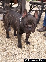 170220071530b 170220071530b