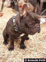 170220071535b 170220071535b