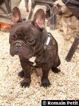 170220071535c 170220071535c