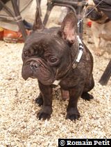 170220071535d 170220071535d