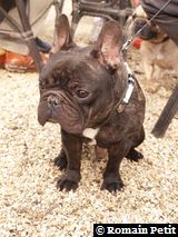 170220071535e 170220071535e