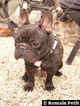 170220071536a 170220071536a