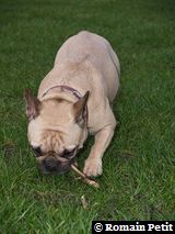 170220071622c 170220071622c