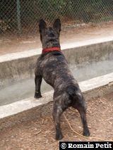 180820051756a 180820051756a