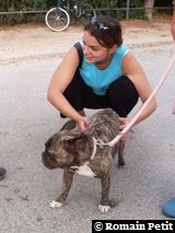 180820051900c 180820051900c