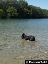 040820071200a 040820071200a