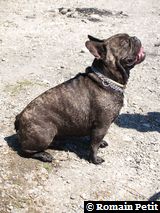 040820071203a 040820071203a