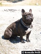 040820071204a 040820071204a