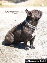 040820071204b 040820071204b