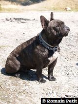 040820071204c 040820071204c