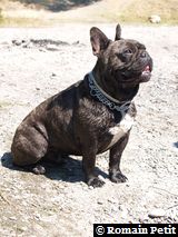 040820071204d 040820071204d