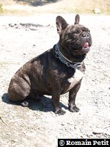 040820071204e 040820071204e