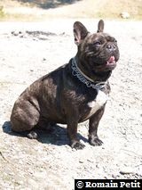 040820071204f 040820071204f