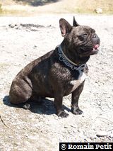 040820071204g 040820071204g