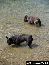 040820071205b 040820071205b