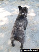 040820071210a 040820071210a