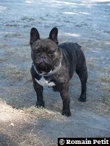 040820071211a 040820071211a