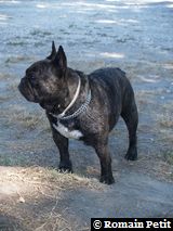 040820071211b 040820071211b