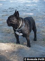 040820071211c 040820071211c