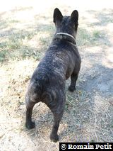 040820071213a 040820071213a