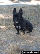 040820071214a 040820071214a