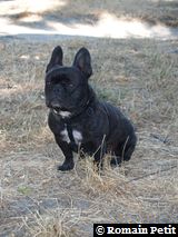 040820071214b 040820071214b