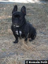 040820071214c 040820071214c