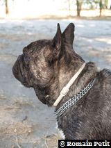 040820071214g 040820071214g